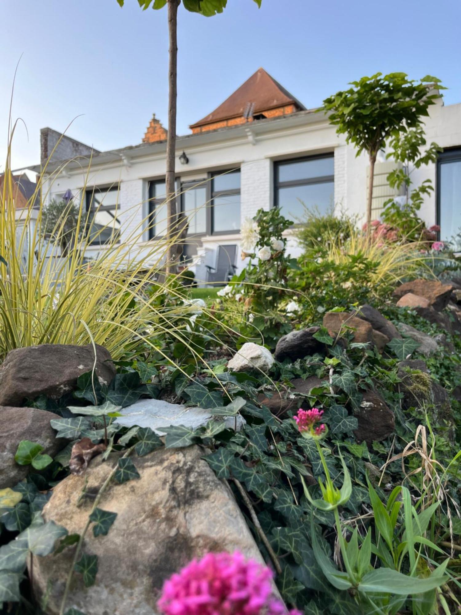 Le Petit Paradis Cassel Exteriér fotografie