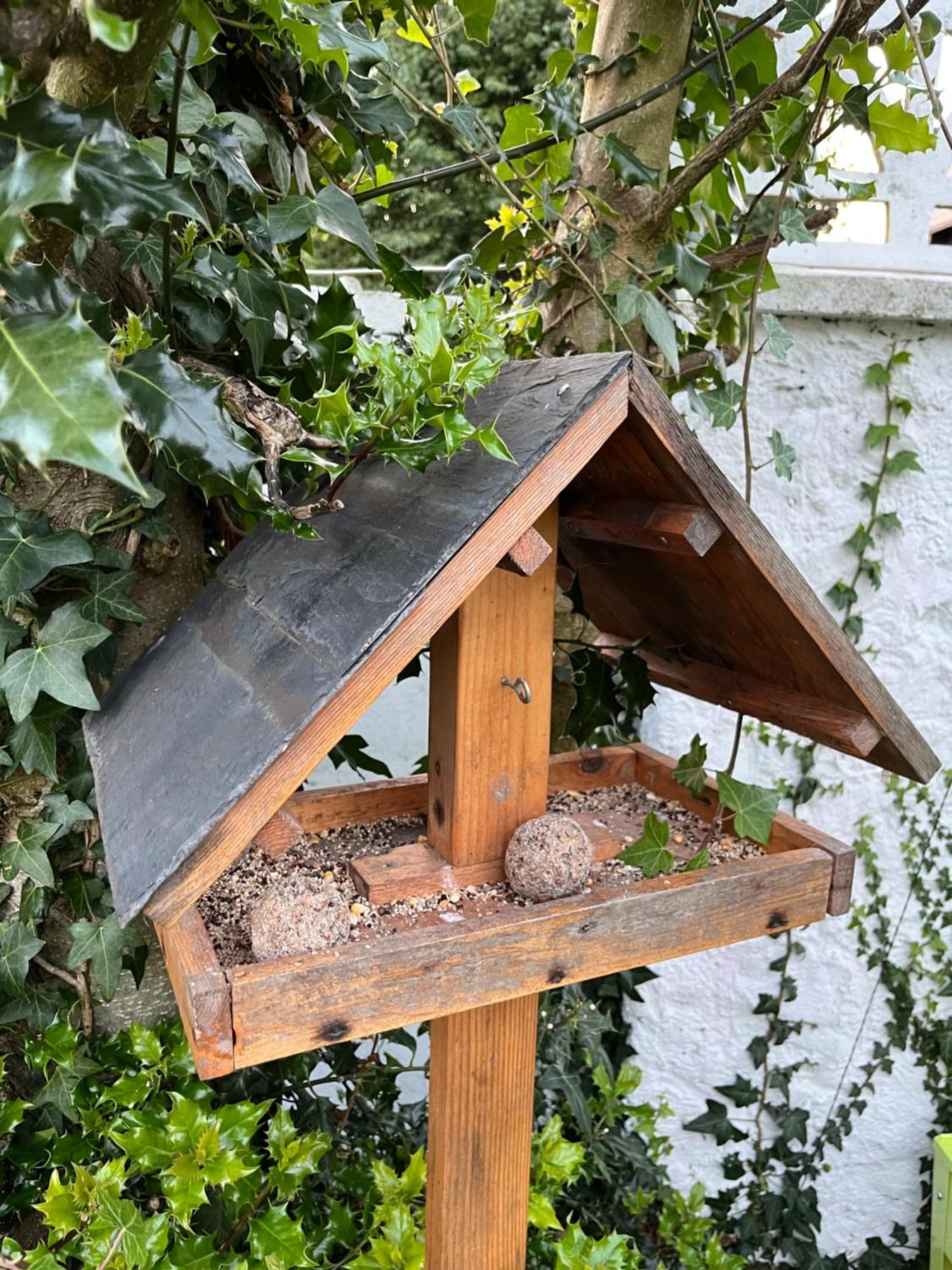 Le Petit Paradis Cassel Exteriér fotografie