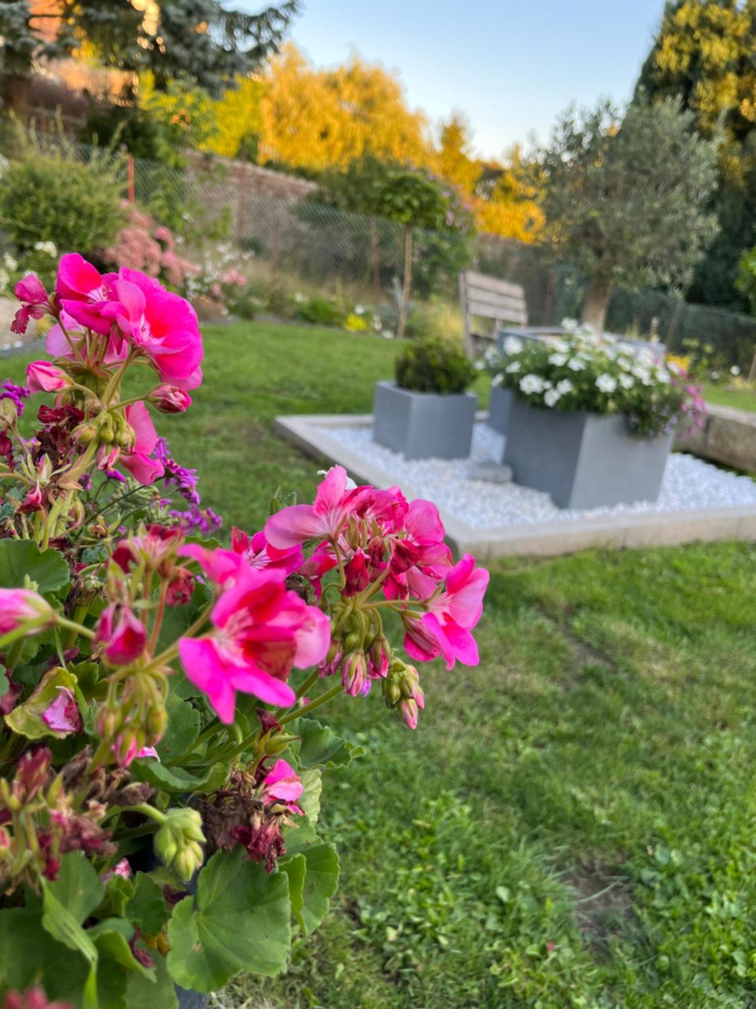 Le Petit Paradis Cassel Exteriér fotografie