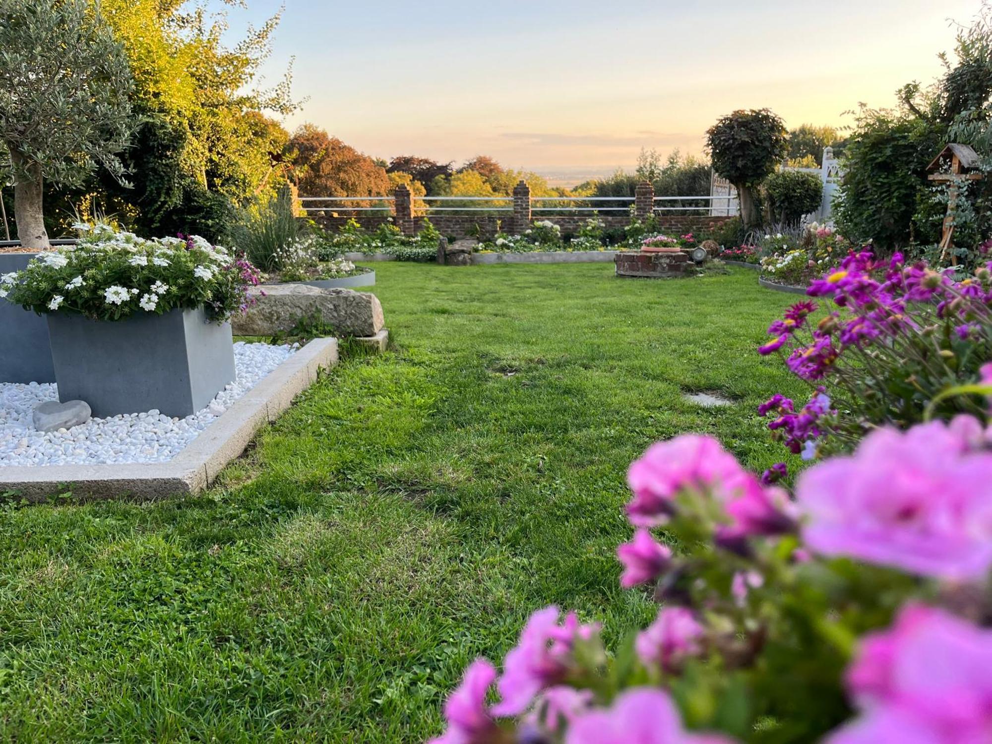 Le Petit Paradis Cassel Exteriér fotografie