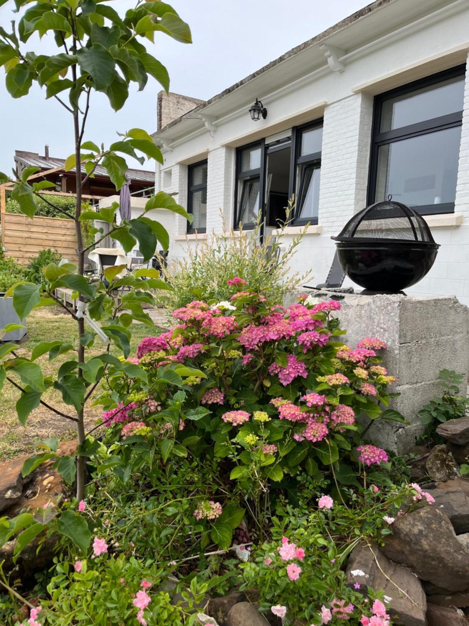 Le Petit Paradis Cassel Exteriér fotografie