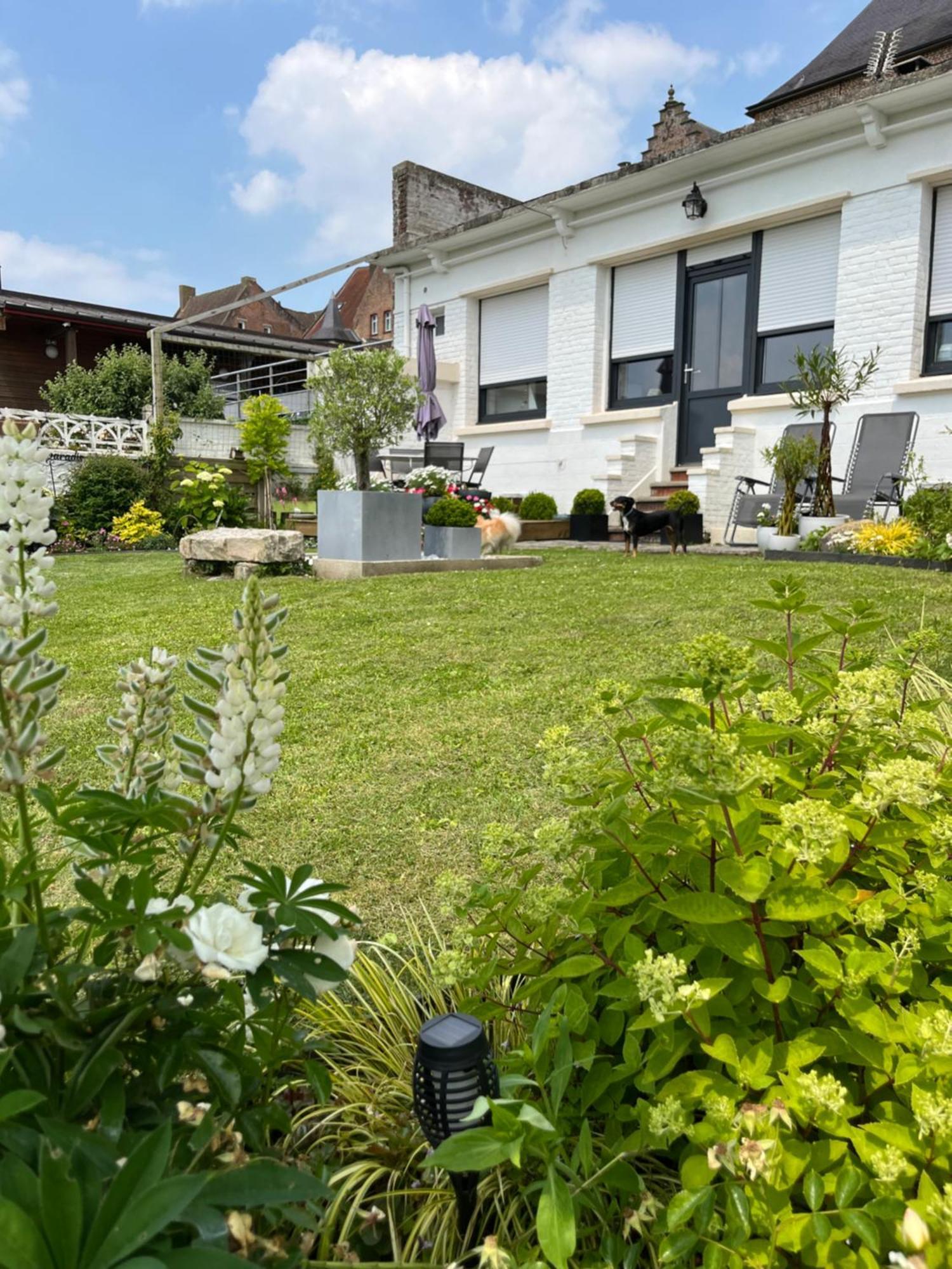 Le Petit Paradis Cassel Exteriér fotografie